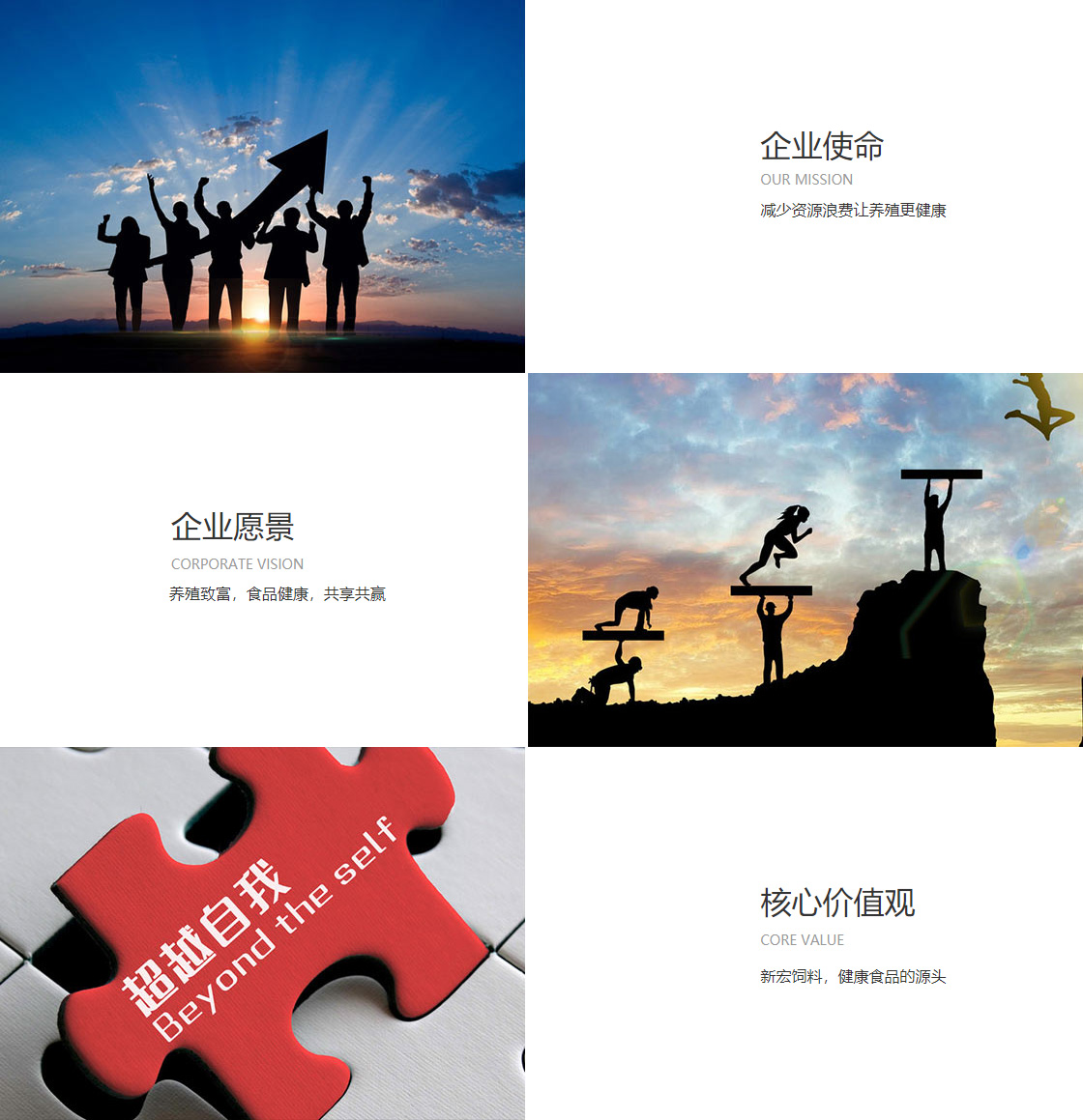 半岛官方web站(图1)